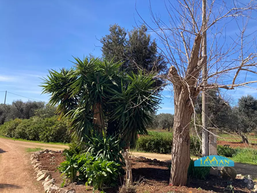 Immagine 20 di Rustico / casale in vendita  in Contrada Don Giulio a Francavilla Fontana
