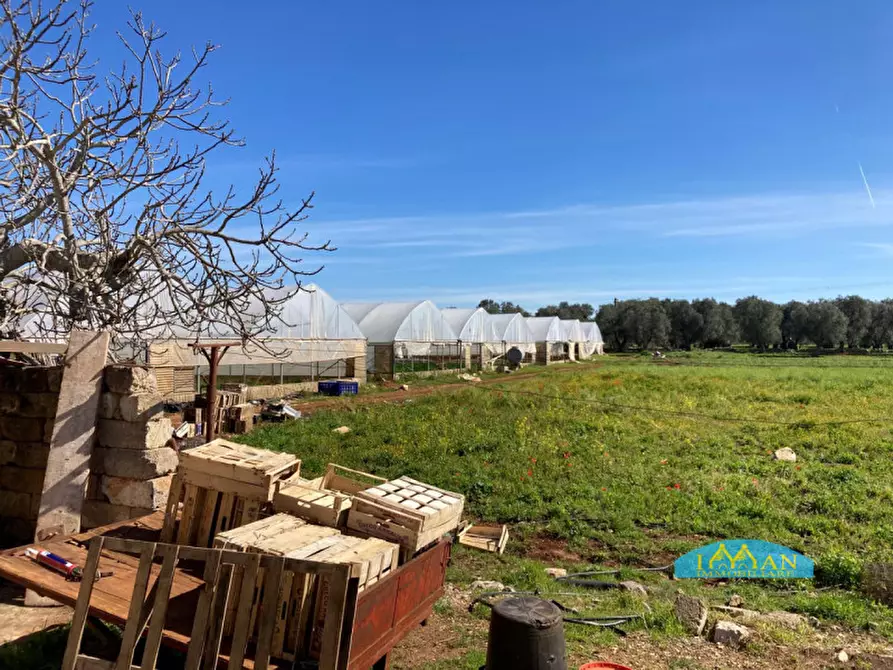 Immagine 24 di Rustico / casale in vendita  in Contrada Don Giulio a Francavilla Fontana