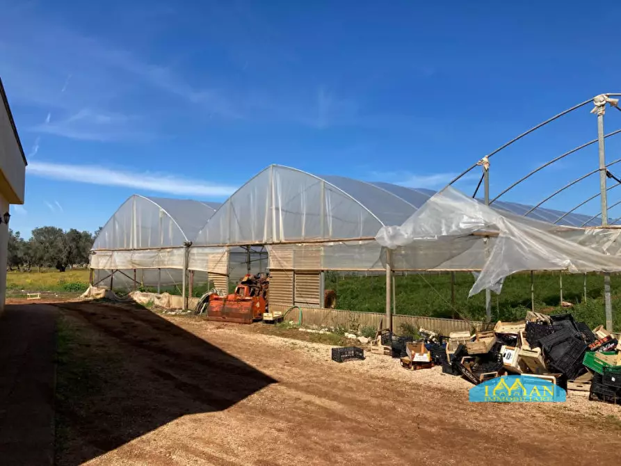Immagine 25 di Rustico / casale in vendita  in Contrada Don Giulio a Francavilla Fontana