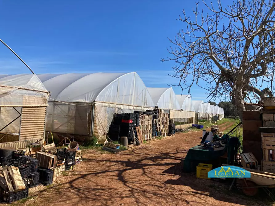 Immagine 26 di Rustico / casale in vendita  in Contrada Don Giulio a Francavilla Fontana