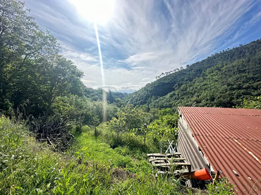 Immagine 2 di Rustico / casale in vendita  in via ciantagalletto a Savona