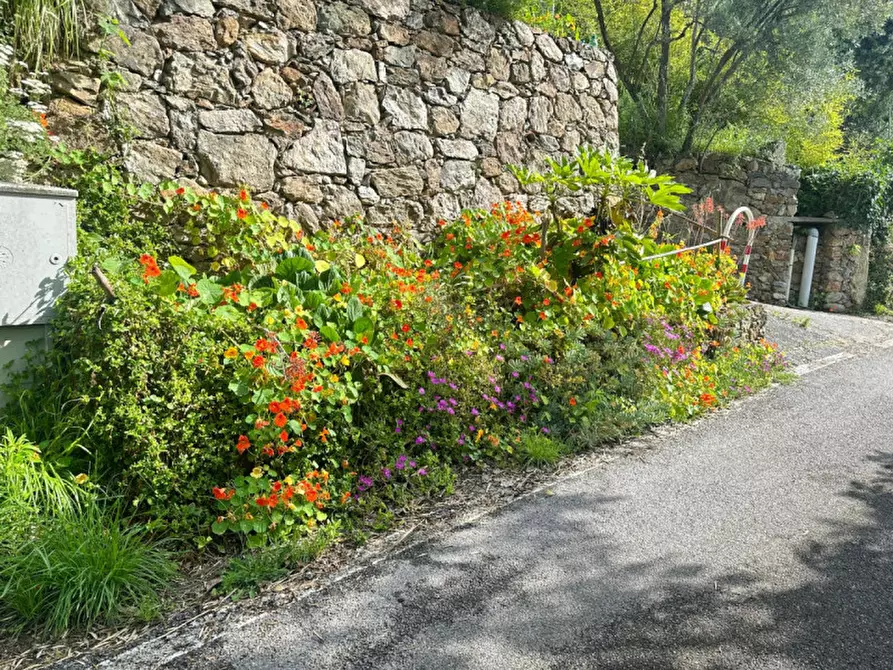 Immagine 3 di Rustico / casale in vendita  in via ciantagalletto a Savona
