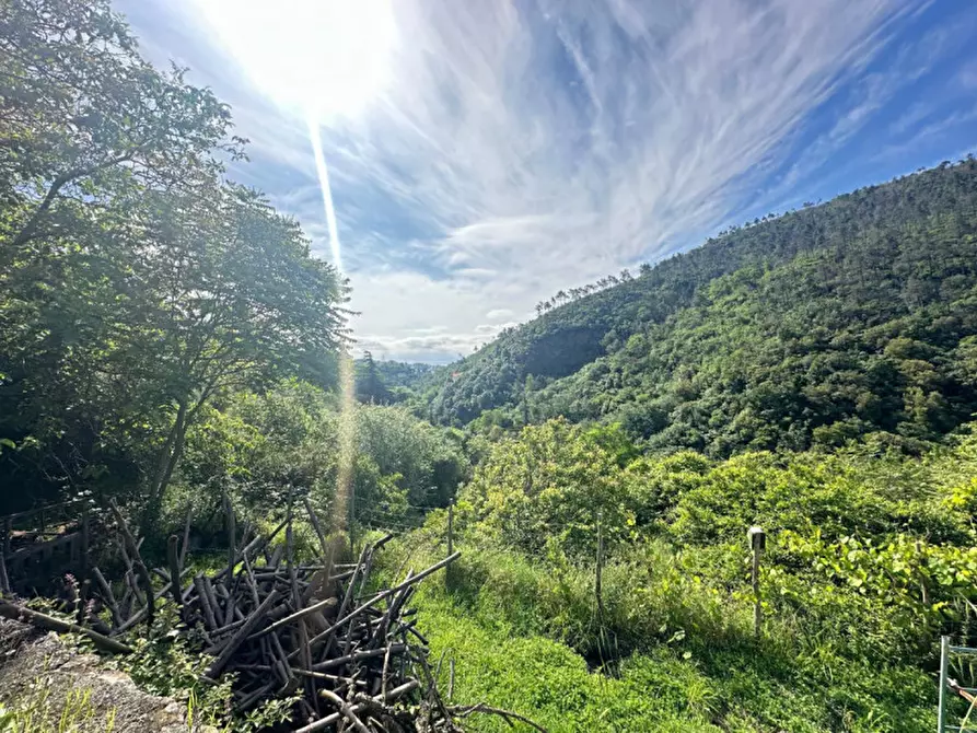 Immagine 5 di Rustico / casale in vendita  in via ciantagalletto a Savona