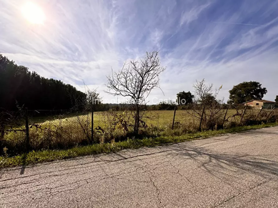 Immagine 1 di Terreno in vendita  in Località Bertoni a Castiglione Del Lago