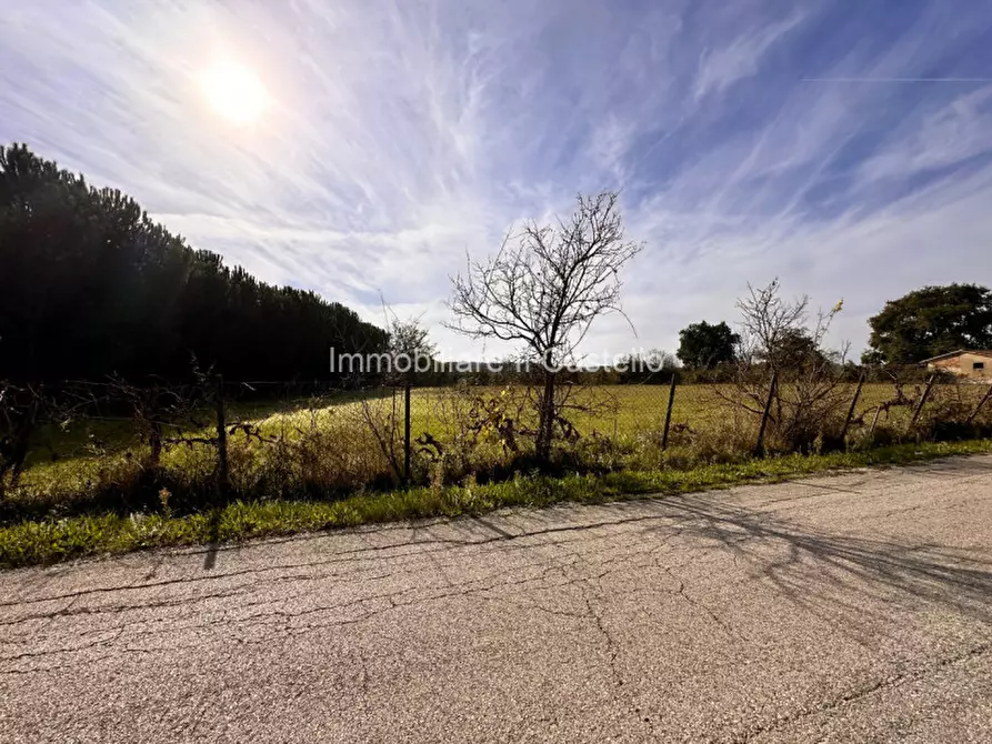 Immagine 2 di Terreno in vendita  in Località Bertoni a Castiglione Del Lago