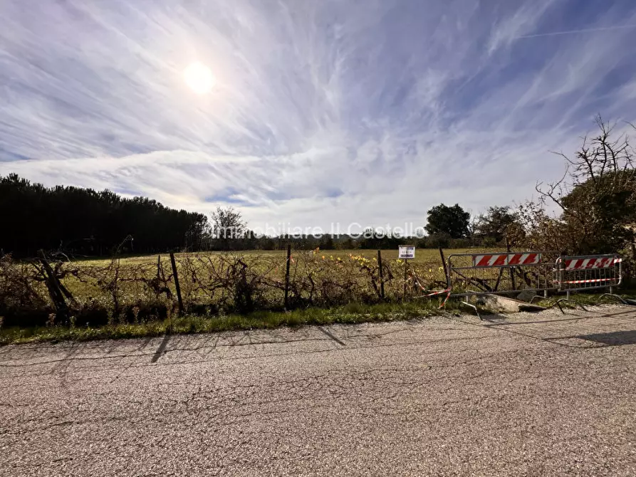 Immagine 3 di Terreno in vendita  in Località Bertoni a Castiglione Del Lago