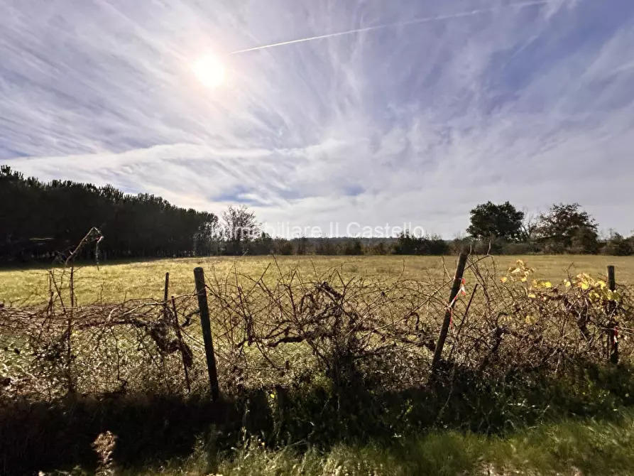 Immagine 4 di Terreno in vendita  in Località Bertoni a Castiglione Del Lago