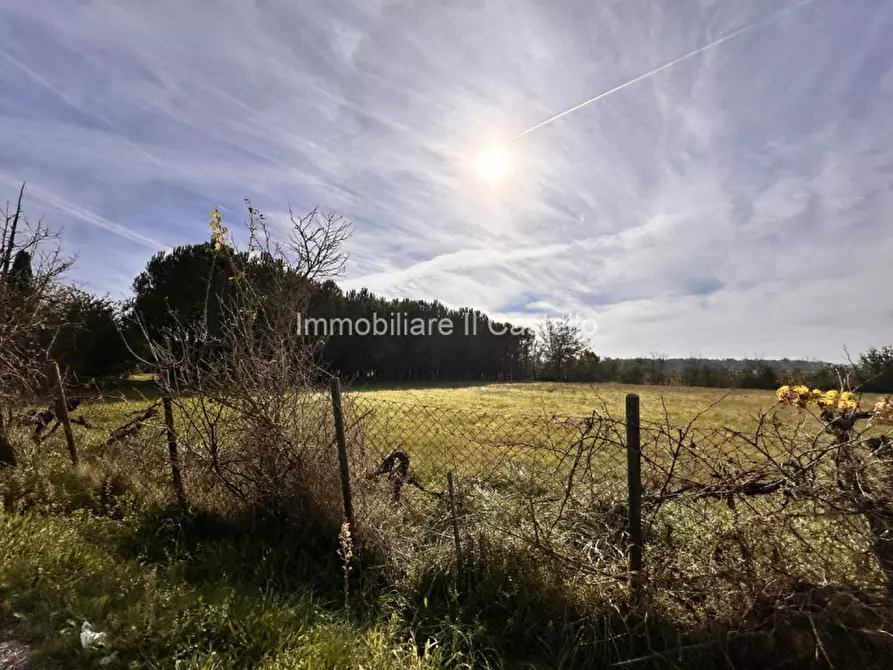 Immagine 5 di Terreno in vendita  in Località Bertoni a Castiglione Del Lago