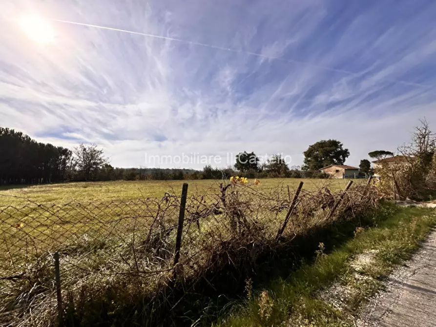 Immagine 6 di Terreno in vendita  in Località Bertoni a Castiglione Del Lago