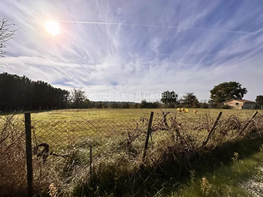 Immagine 7 di Terreno in vendita  in Località Bertoni a Castiglione Del Lago
