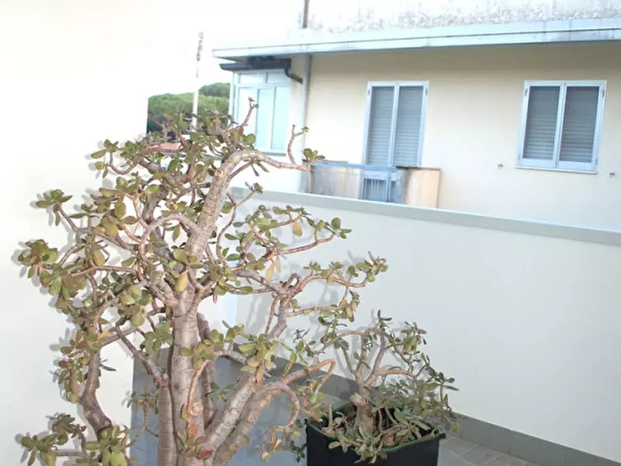 Immagine 11 di Attico in vendita  in viale garibaldi a Riccione