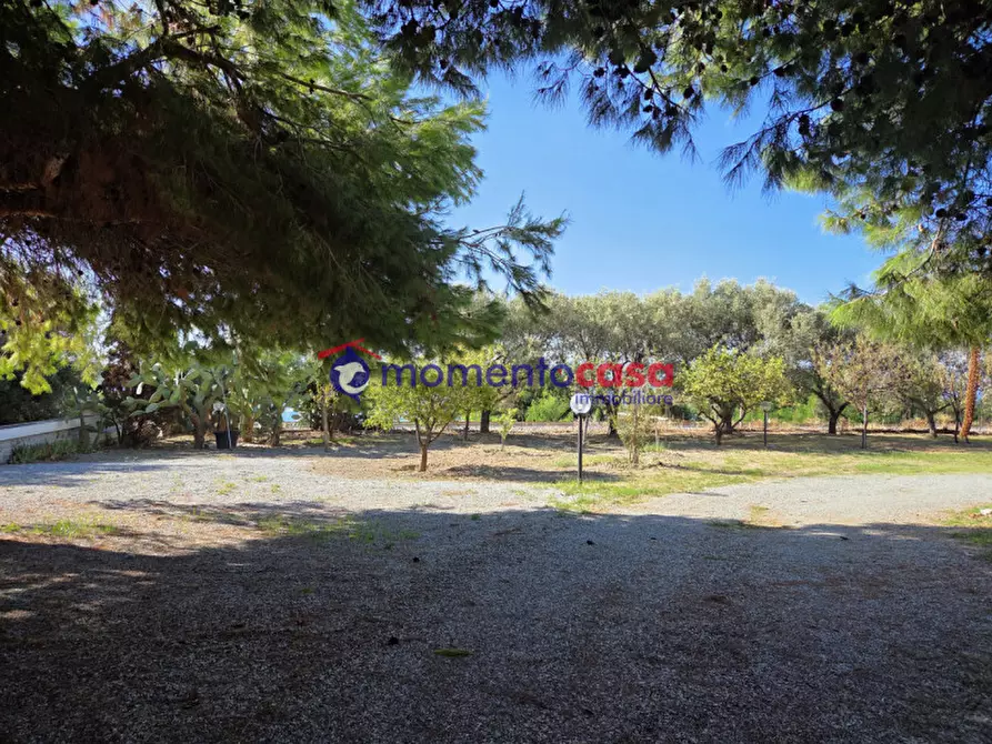 Immagine 3 di Villa in vendita  in palizzi marina a Palizzi