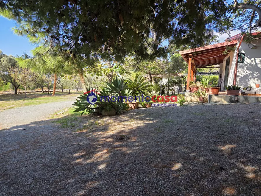 Immagine 4 di Villa in vendita  in palizzi marina a Palizzi