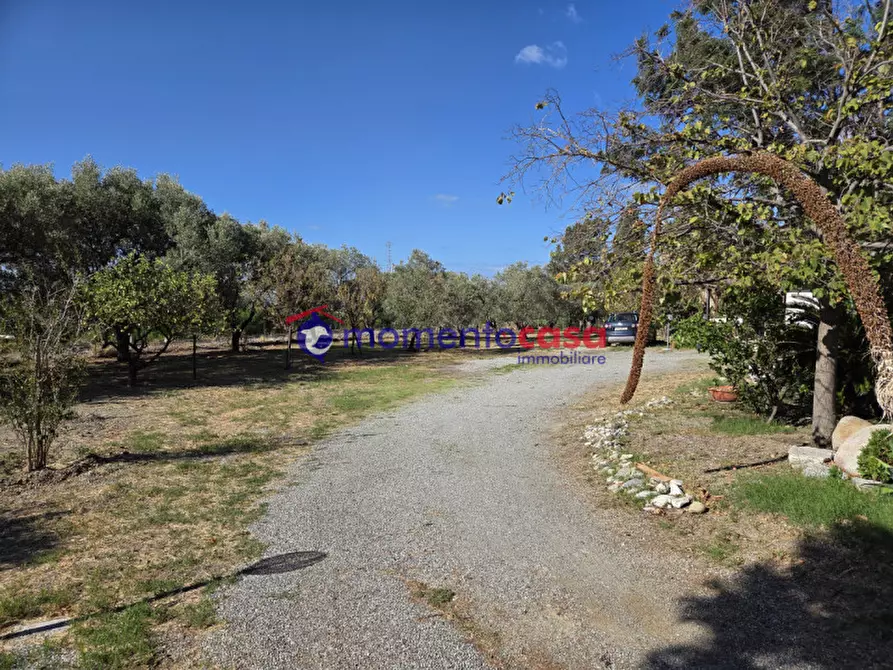 Immagine 8 di Villa in vendita  in palizzi marina a Palizzi