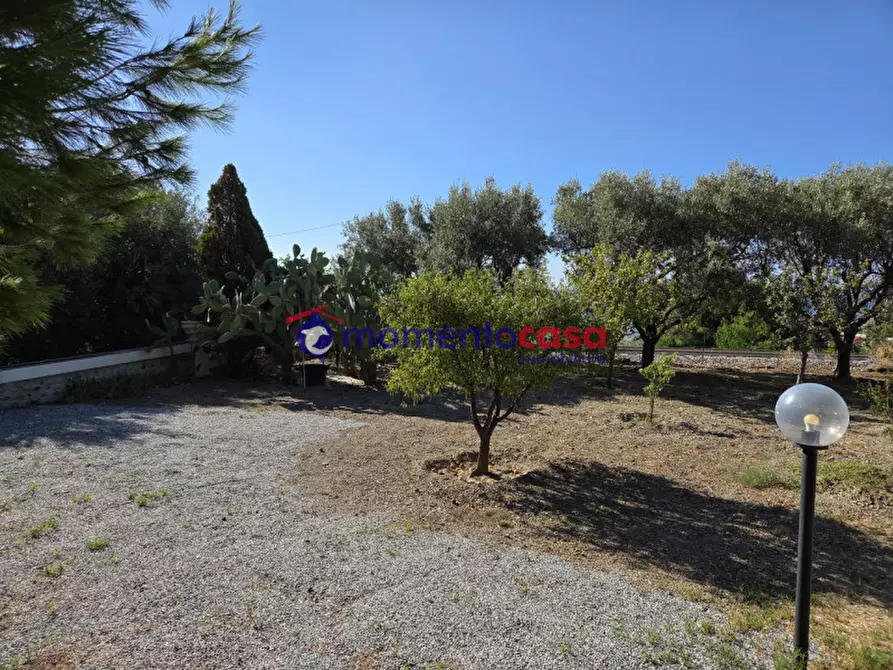 Immagine 9 di Villa in vendita  in palizzi marina a Palizzi