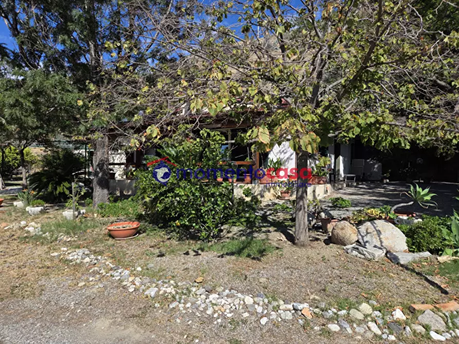 Immagine 11 di Villa in vendita  in palizzi marina a Palizzi