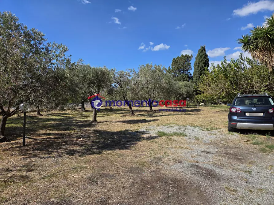 Immagine 12 di Villa in vendita  in palizzi marina a Palizzi