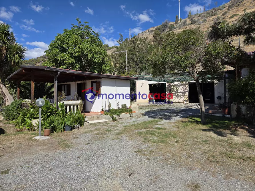 Immagine 13 di Villa in vendita  in palizzi marina a Palizzi