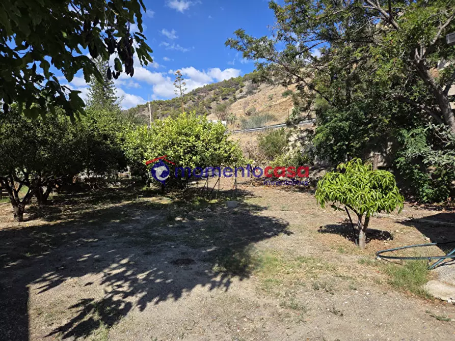 Immagine 16 di Villa in vendita  in palizzi marina a Palizzi