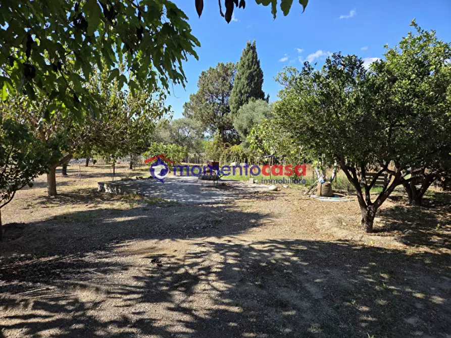 Immagine 17 di Villa in vendita  in palizzi marina a Palizzi