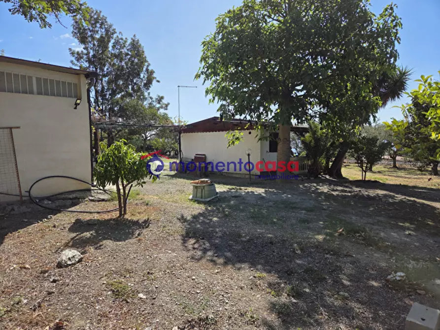 Immagine 18 di Villa in vendita  in palizzi marina a Palizzi
