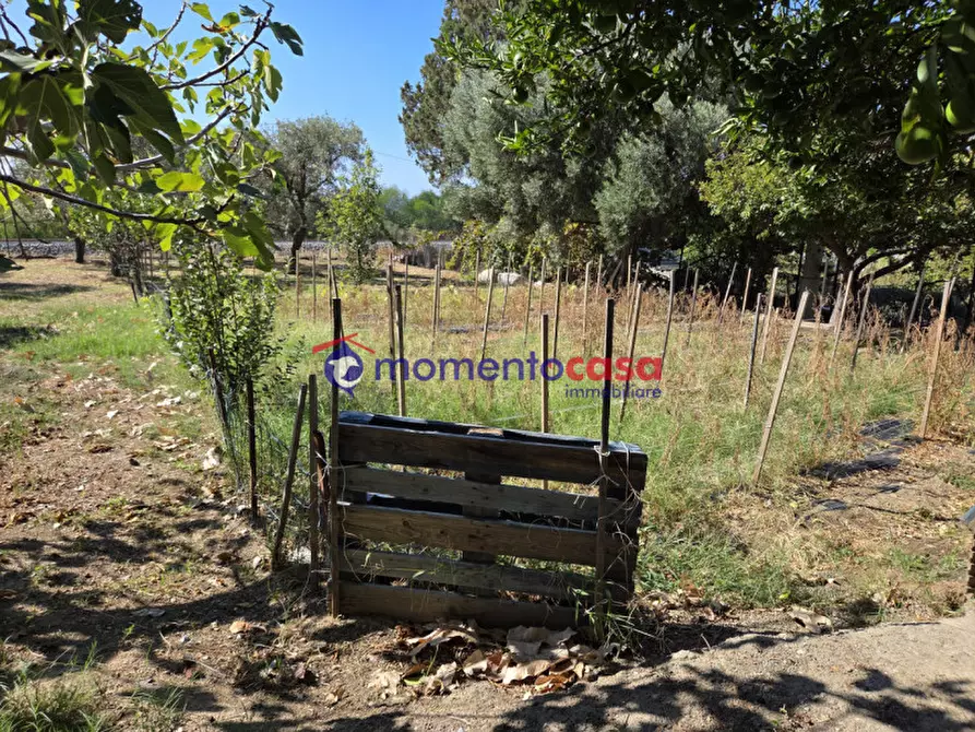 Immagine 19 di Villa in vendita  in palizzi marina a Palizzi