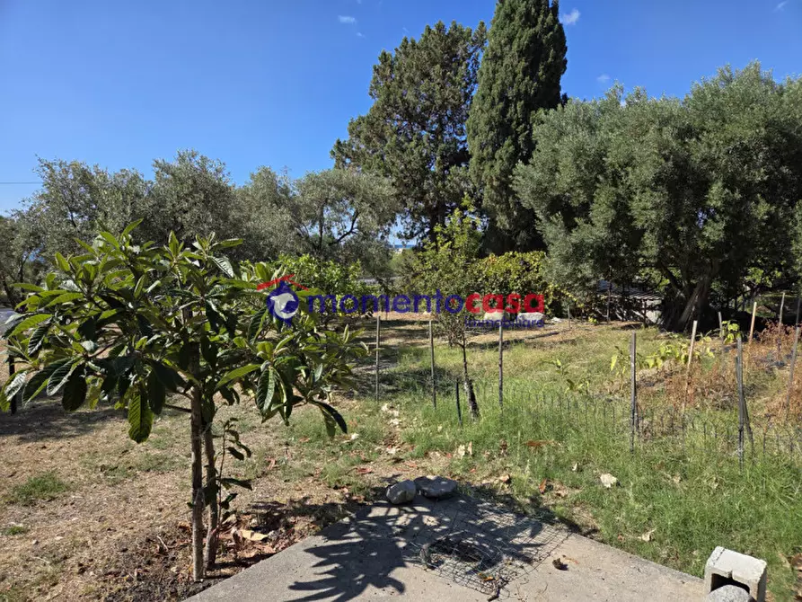 Immagine 21 di Villa in vendita  in palizzi marina a Palizzi