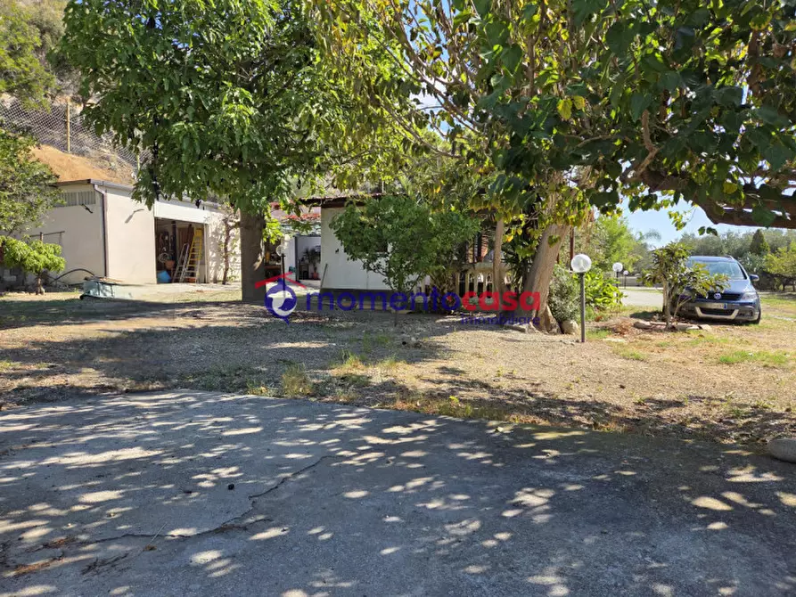 Immagine 22 di Villa in vendita  in palizzi marina a Palizzi