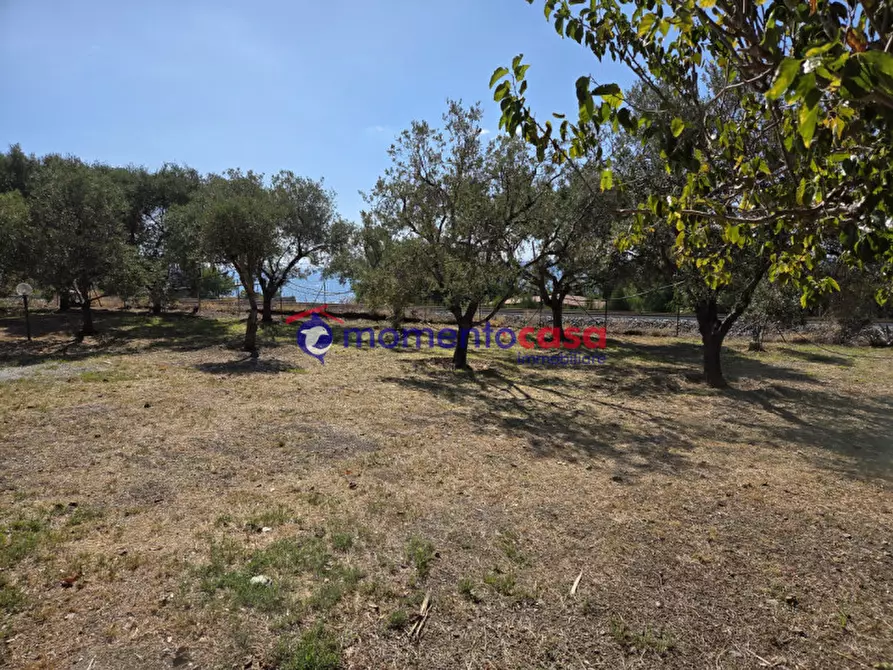 Immagine 23 di Villa in vendita  in palizzi marina a Palizzi