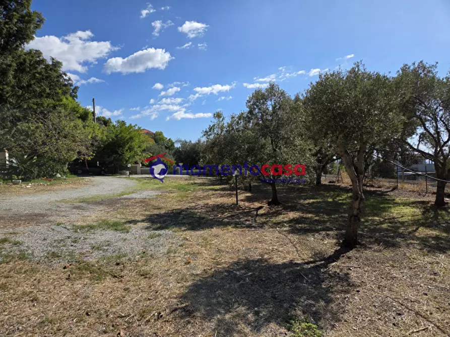 Immagine 24 di Villa in vendita  in palizzi marina a Palizzi