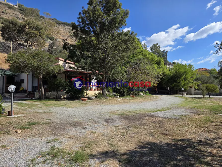 Immagine 25 di Villa in vendita  in palizzi marina a Palizzi