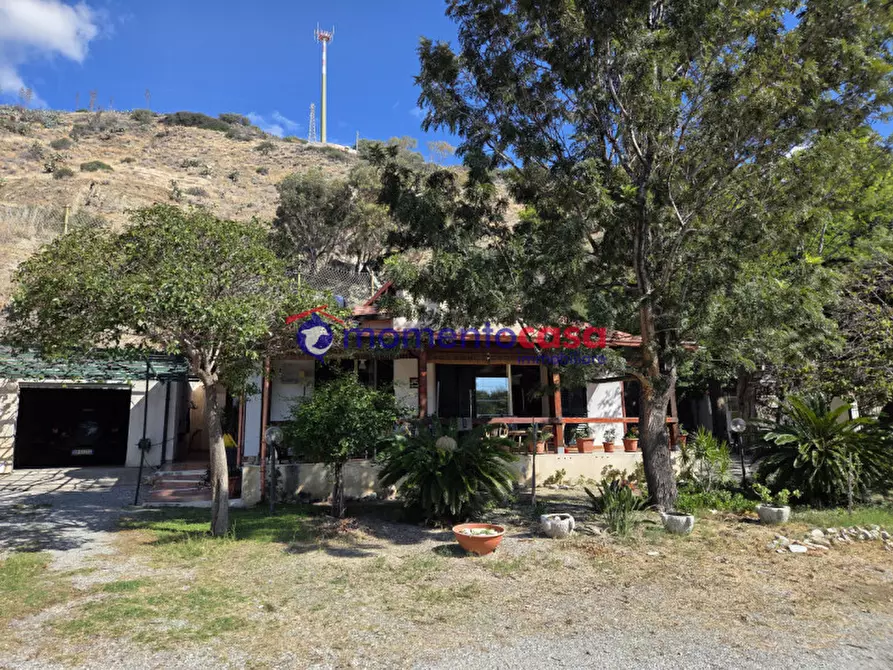 Immagine 26 di Villa in vendita  in palizzi marina a Palizzi