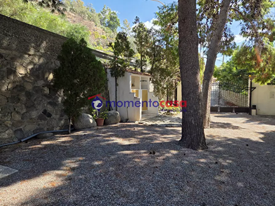 Immagine 31 di Villa in vendita  in palizzi marina a Palizzi