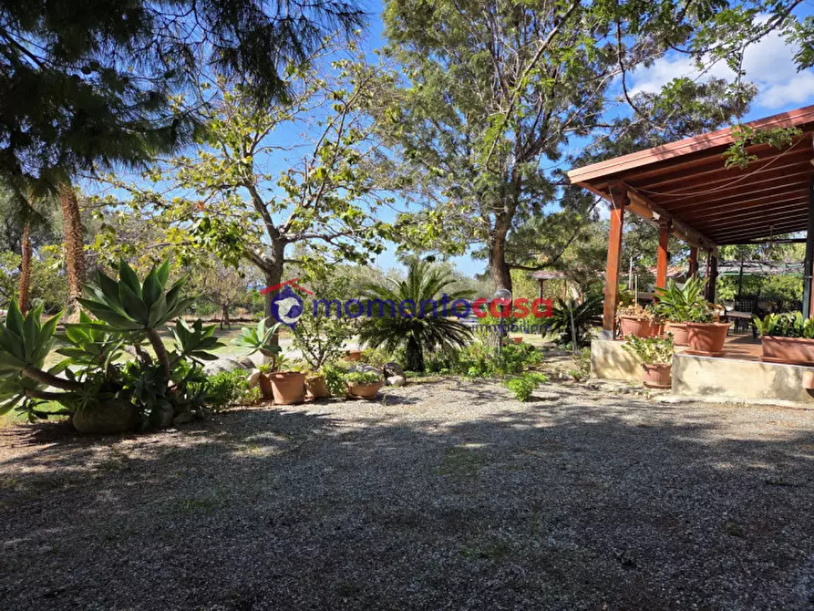 Immagine 33 di Villa in vendita  in palizzi marina a Palizzi