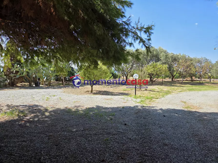 Immagine 34 di Villa in vendita  in palizzi marina a Palizzi