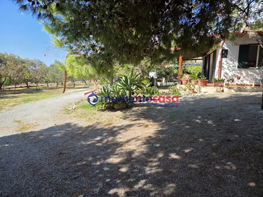 Immagine 35 di Villa in vendita  in palizzi marina a Palizzi