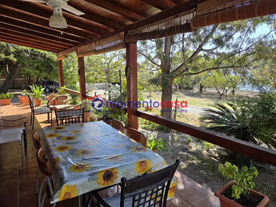 Immagine 48 di Villa in vendita  in palizzi marina a Palizzi