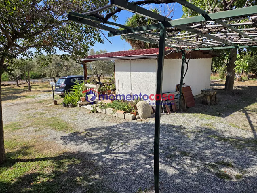 Immagine 49 di Villa in vendita  in palizzi marina a Palizzi