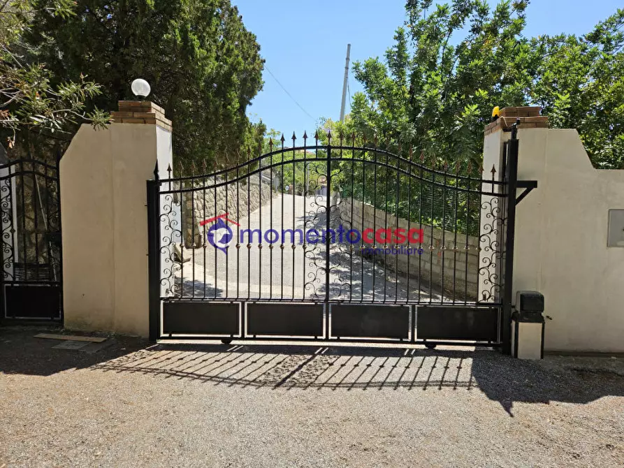 Immagine 51 di Villa in vendita  in palizzi marina a Palizzi