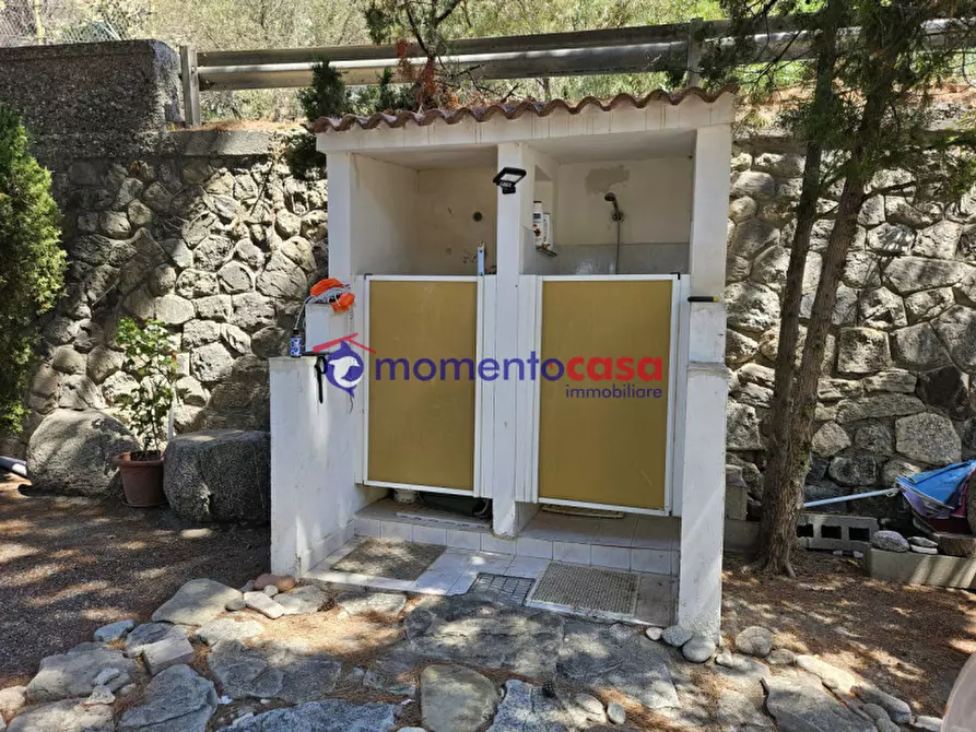 Immagine 54 di Villa in vendita  in palizzi marina a Palizzi