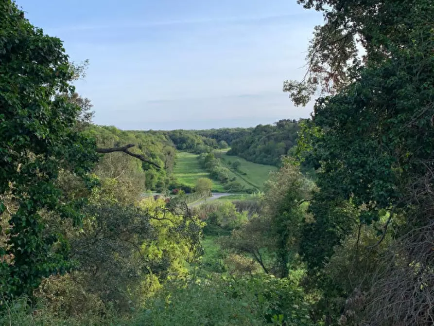 Immagine 4 di Villa in vendita  in Via Clarice Tartufari 161 a Roma