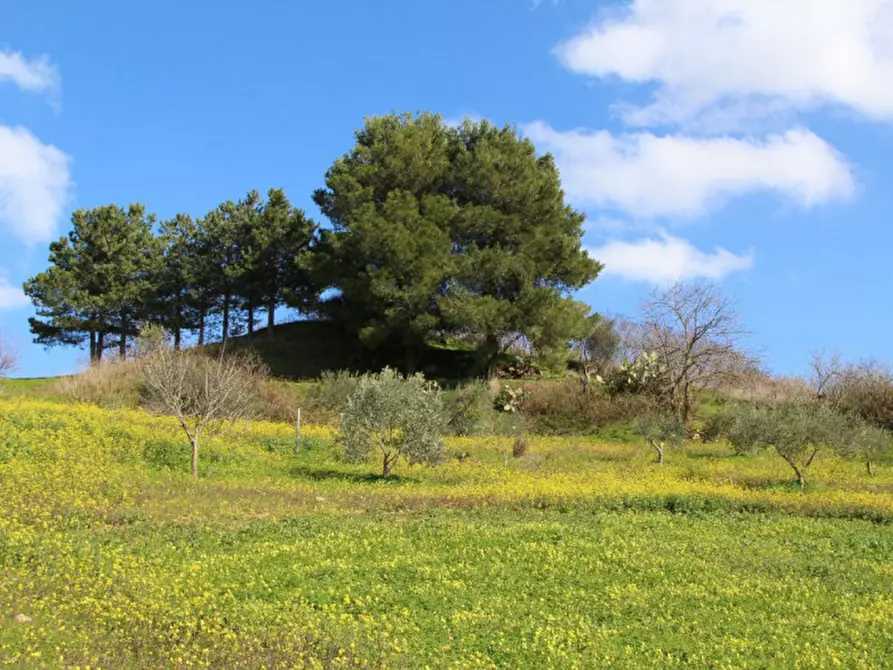 Immagine 29 di Casa indipendente in vendita  in Località Buceci a Piana Degli Albanesi