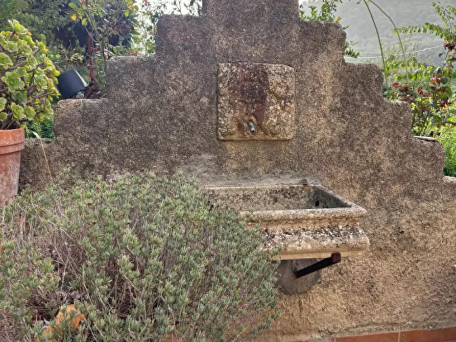 Immagine 31 di Casa indipendente in vendita  in Località Buceci a Piana Degli Albanesi