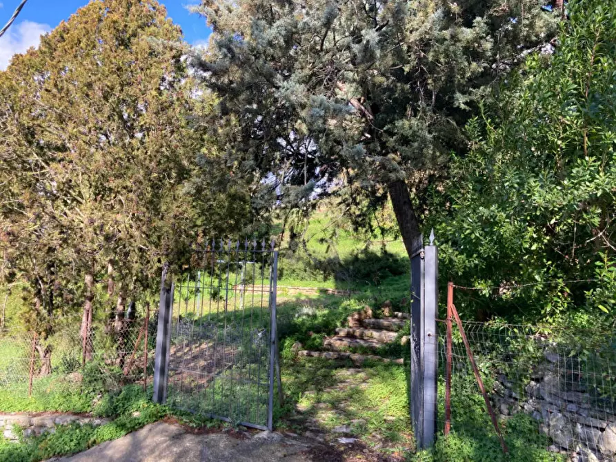 Immagine 32 di Casa indipendente in vendita  in Località Buceci a Piana Degli Albanesi