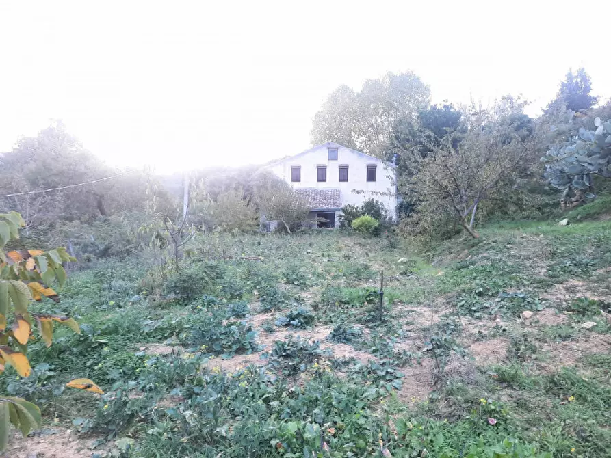 Immagine 34 di Casa indipendente in vendita  in Località Buceci a Piana Degli Albanesi