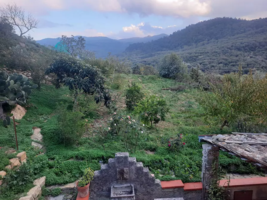 Immagine 35 di Casa indipendente in vendita  in Località Buceci a Piana Degli Albanesi