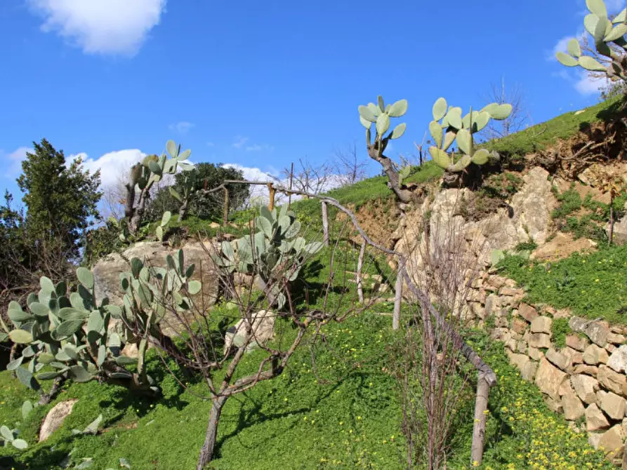 Immagine 36 di Casa indipendente in vendita  in Località Buceci a Piana Degli Albanesi