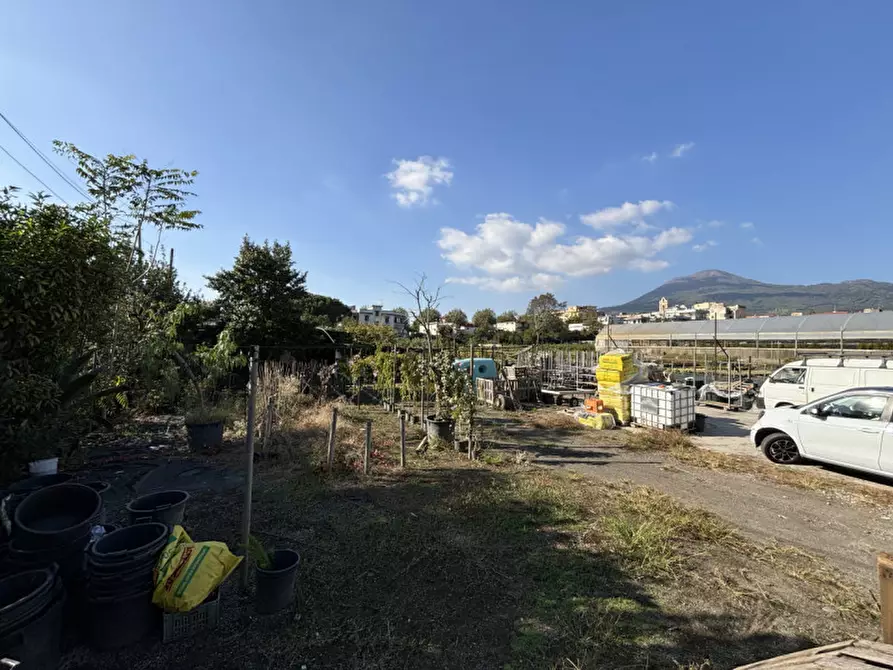 Immagine 3 di Terreno in vendita  in VIA PASTRENGO a Boscotrecase