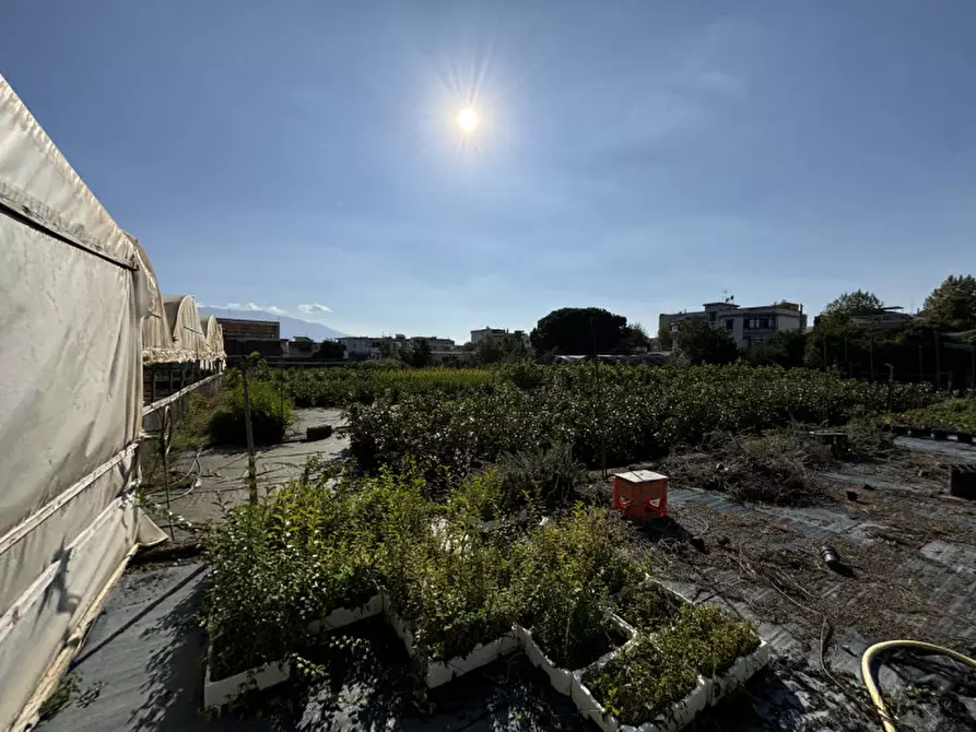 Immagine 5 di Terreno in vendita  in VIA PASTRENGO a Boscotrecase