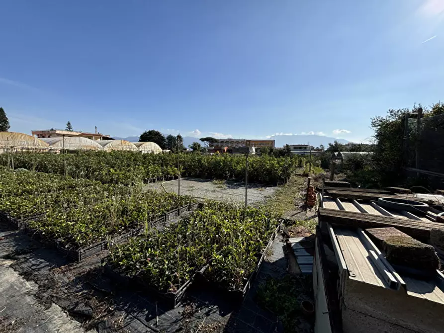 Immagine 6 di Terreno in vendita  in VIA PASTRENGO a Boscotrecase